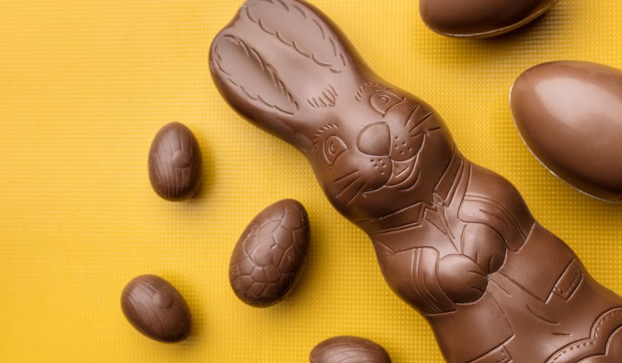 Chocolate bunny. File photo credit: And-one via Shutterstock.