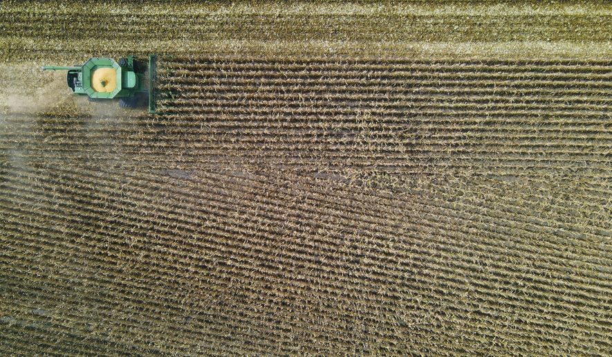 A farmer uses a corn combine to harvest his crop on Tuesday, Oct. 4, 2022, in Johnson, Neb. (Kenneth Ferriera/Lincoln Journal Star via AP)