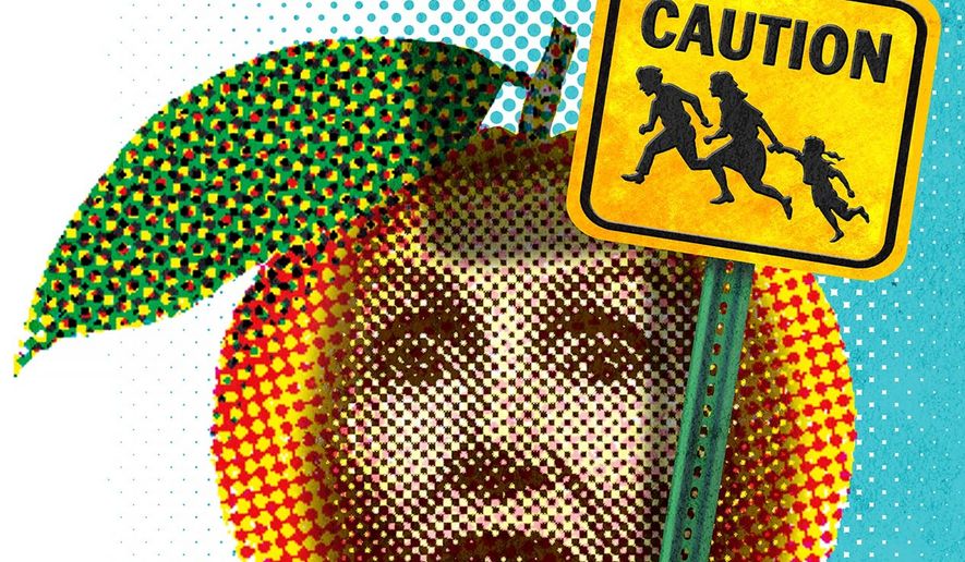 Nancy Pelosi&#39;s Illegal Immigration Ideas Illustration by Greg Groesch/The Washington Times