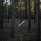 A Russian rocket sticks out of the ground in a forest near Oleksandrivka village, Ukraine, Thursday, Oct. 6, 2022. (AP Photo/Francisco Seco)
