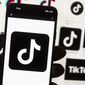 The TikTok logo is seen on a cellphone on Oct. 14, 2022, in Boston. (AP Photo/Michael Dwyer) **FILE**
