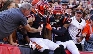 Cincinnati Bengals wide receiver Ja&#39;Marr Chase (1) celebrates his touchdown with wide receiver Tyler Boyd and fans in the first half of an NFL football game against the Atlanta Falcons in Cincinnati, Sunday, Oct. 23, 2022. (AP Photo/Jeff Dean)