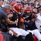 Cincinnati Bengals wide receiver Ja&#39;Marr Chase (1) celebrates his touchdown with wide receiver Tyler Boyd and fans in the first half of an NFL football game against the Atlanta Falcons in Cincinnati, Sunday, Oct. 23, 2022. (AP Photo/Jeff Dean)