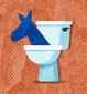 B2-TYRR-Dem-Toilet-GG.jpg