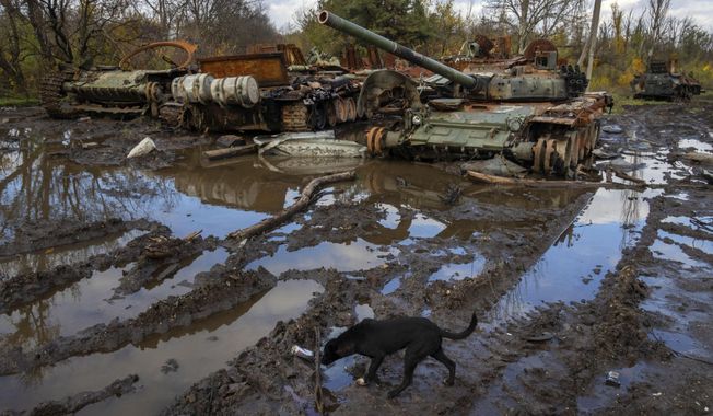 Russian tanks damaged in recent fighting are seen near the recently retaken village of Kamianka, Kharkiv region, Ukraine, Sunday, Oct. 30, 2022. (AP Photo/Efrem Lukatsky)