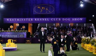 Best in show judge, Dr. Don Sturz, standing at center, is shown at the 146th Westminster Kennel Club Dog Show, Wednesday, June 22, 2022, in Tarrytown, N.Y. The Westminster Kennel Club dog show is moving next year to a new venue: the home of the U.S. Open tennis tournament. The kennel club announced Thursday, Nov. 3, 2022, that canine champs will take over the USTA Billie Jean King National Tennis Center on May 6, 8 and 9 (AP Photo/Frank Franklin II, File)
