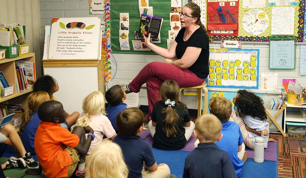 NextImg:Amid educational mayhem, only public school teachers can save us now