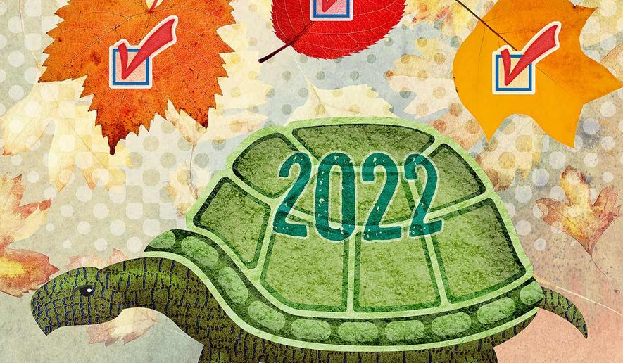 America's slow election voting system illustration by Greg Groesch / The Washington Times