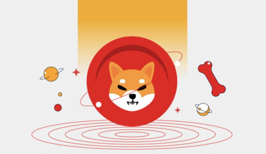 Should You Invest In Shiba Inu? (sponsored)
