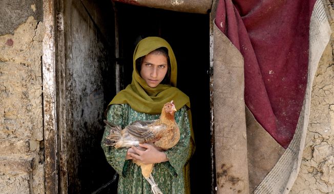 A girl holds a chicken in Kabul, Afghanistan, Thursday, April 28, 2022. A senior official with the International Committee of the Red Cross says that Afghans will struggle for their lives as the country braces for its second winter under Taliban rule and faces plummeting humanitarian conditions. (AP Photo/Ebrahim Noroozi, File)