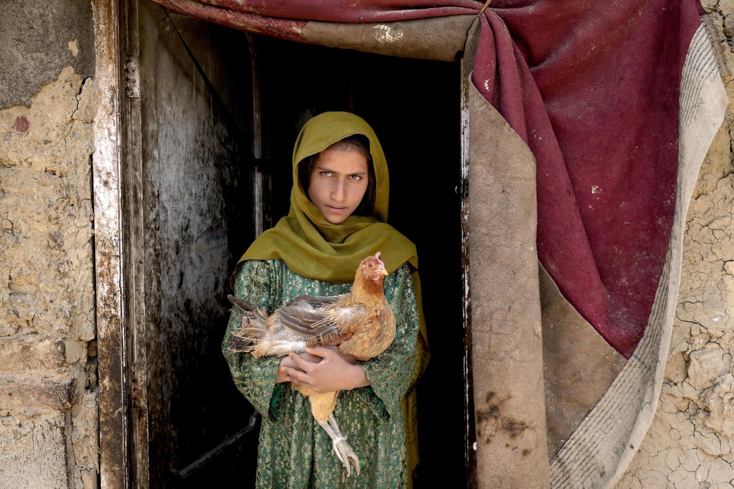 Kızıl Haç: Afganlar bu kış yaşam mücadelesi verecek