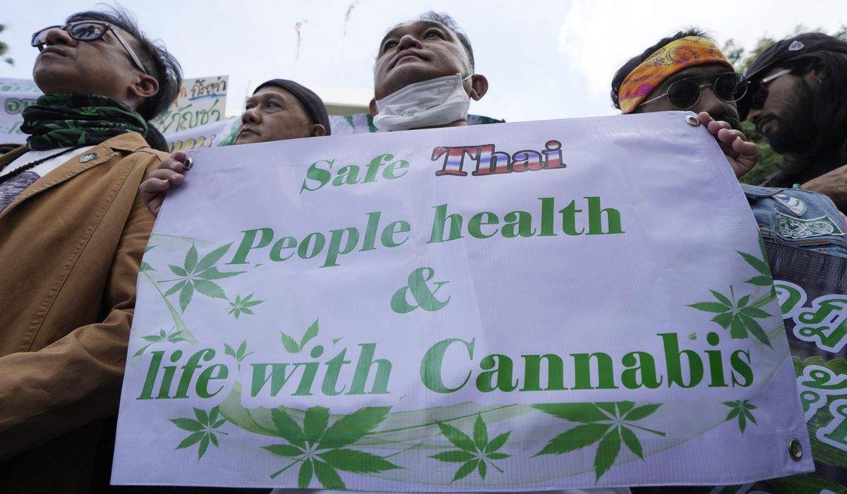 Thaï coincé ? Le marché du cannabis face à l'incertitude politique en Thaïlande
