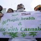 Cannabis supporters gather during a demonstration outside the Government House in Bangkok, Thailand, Tuesday, Nov. 22, 2022. Thailand made it legal to cultivate and possess marijuana for medicinal purposes earlier this year, but lax regulations allowed the growth of a recreational marijuana industry, and the demonstrators don&#39;t want the rules against it to be strengthened again. (AP Photo/Sakchai Lalit)