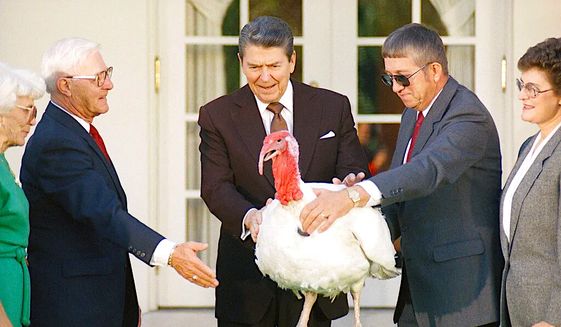 President Ronald Reagan, with Peter Hermanson, then president of the National Turkey Federation, right, takes part in the annual White House Thanksgiving turkey presentation on Friday, Nov. 19, 1988 in Washington at the Rose Garden. (AP Photo/Ron Edmonds)
