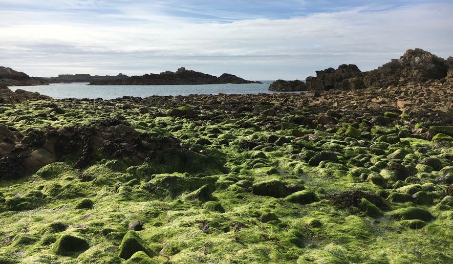 A rocky beach is shown on the island of Alderney in the Channel Islands. A Nazi encampment from World War II is now up for sale on Alderney, one of the Channel Islands, a British territory just off the northwestern coast of France. (File Photo credit: Arrincat via Shutterstock)