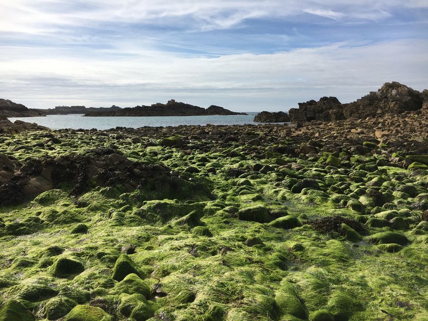 A rocky beach is shown on the island of Alderney in the Channel Islands. A Nazi encampment from World War II is now up for sale on Alderney, one of the Channel Islands, a British territory just off the northwestern coast of France. (File Photo credit: Arrincat via Shutterstock)