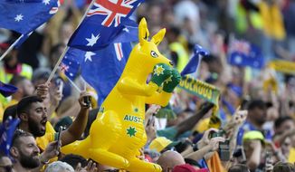 Australia&#39;s fans celebrate after winning the World Cup group D soccer match between Tunisia and Australia at the Al Janoub Stadium in Al Wakrah, Qatar, Saturday, Nov. 26, 2022. (AP Photo/Luca Bruno)