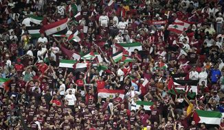 Fans cheer during the World Cup group A soccer match between the Netherlands and Qatar, at the Al Bayt Stadium in Al Khor , Qatar, Tuesday, Nov. 29, 2022. (AP Photo/Lee Jin-man)