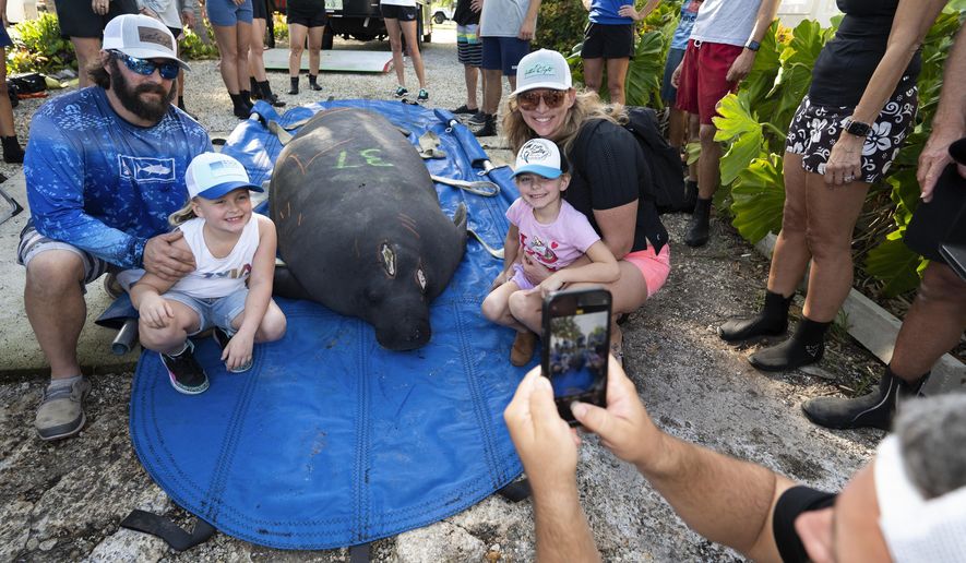 In this photo provided by the Florida Keys News Bureau, from left, Todd Weston, Rockie Weston, Zeiss Weston and Josie Norgren pose for a photo with an unnamed, rehabilitated adult male manatee before its release back to Florida Keys waters, Tuesday, Nov. 29, 2022, in Key Colony Beach, Fla. The family helped marine mammal rescuers recover the manatee off the Keys&#39; Sombrero Beach in April 2022, suffering from propeller wounds to its head and a skull fracture caused by a boat strike. The manatee and two others, also rehabilitated, were released Tuesday in the Florida Keys. (Andy Newman/Florida Keys News Bureau via AP)