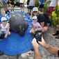 In this photo provided by the Florida Keys News Bureau, from left, Todd Weston, Rockie Weston, Zeiss Weston and Josie Norgren pose for a photo with an unnamed, rehabilitated adult male manatee before its release back to Florida Keys waters, Tuesday, Nov. 29, 2022, in Key Colony Beach, Fla. The family helped marine mammal rescuers recover the manatee off the Keys&#39; Sombrero Beach in April 2022, suffering from propeller wounds to its head and a skull fracture caused by a boat strike. The manatee and two others, also rehabilitated, were released Tuesday in the Florida Keys. (Andy Newman/Florida Keys News Bureau via AP)