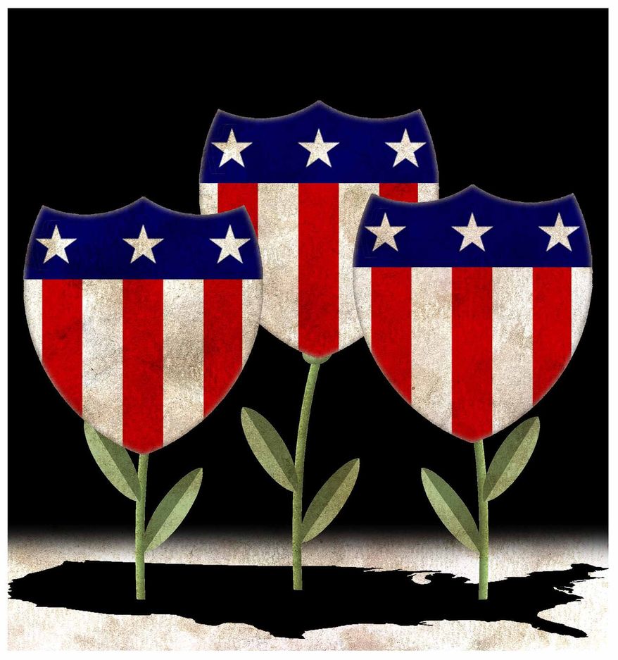 Illustration on the need for home-grown supply and security by Alexander Hunter/The Washington Times