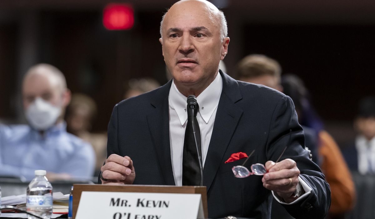 NextImg:‘Shark Tank’ investor Kevin O’Leary says he wants to buy TikTok