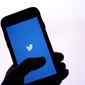 The Twitter application is seen on a digital device Monday, April 25, 2022, in San Diego. (AP Photo/Gregory Bull, File)