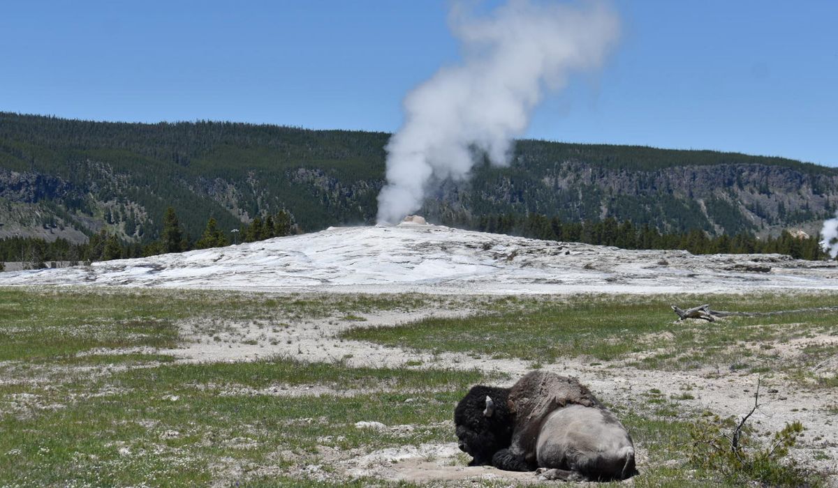 NextImg:Anonymous donors give $40 million for Yellowstone National Park’s staff housing
