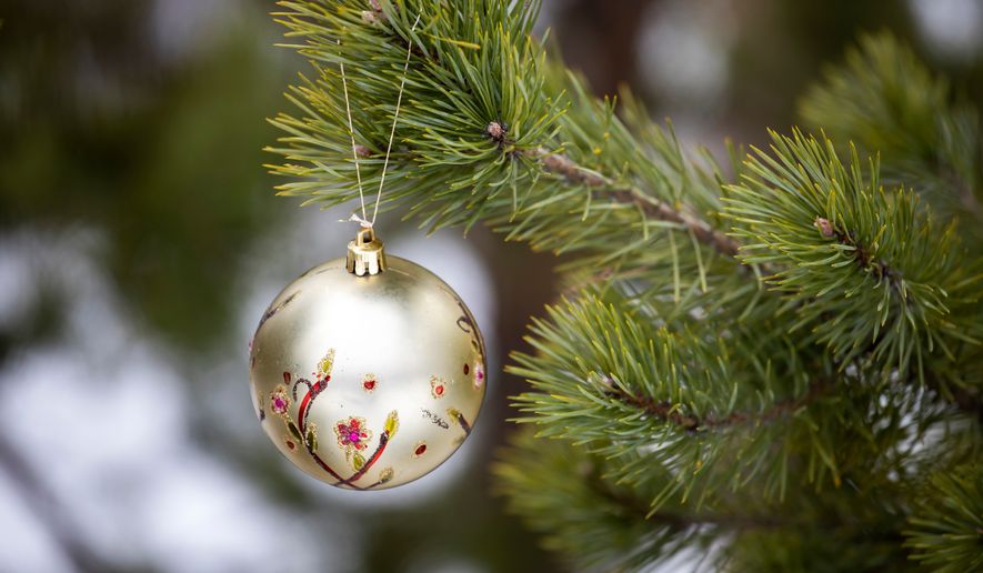Decoration on a Christmas tree. File photo credit: Vladimirkarp via Shutterstock.