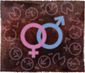B1-GORT-Gender-Science-GG.jpg