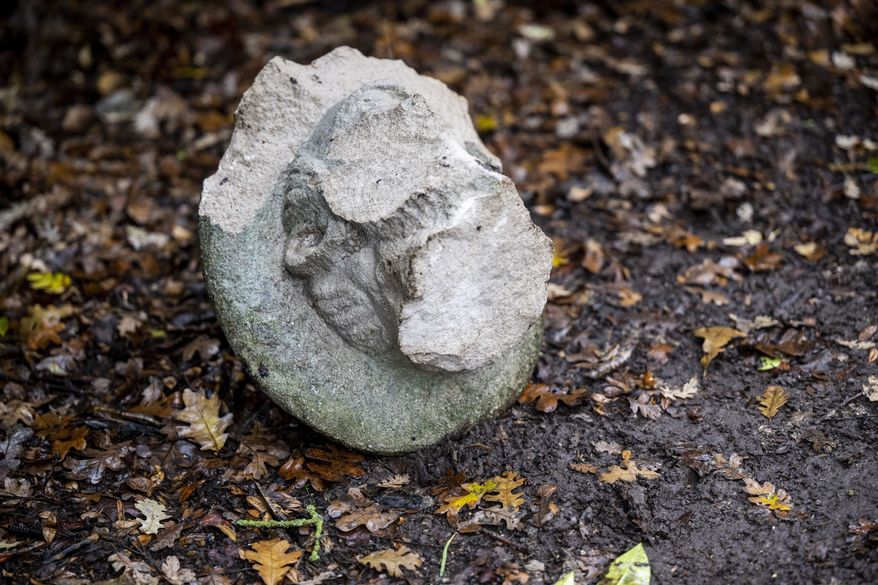 The head of the Charles Swanston statue rests on the ground near a bush in William Land Park on Tuesday, Dec. 27, 2022, in Sacramento, Calif., the day after it was believed to have been vandalized. The statute of a 19th-century Northern California meat-packing magnate was beheaded earlier this week. (Hector Amezcua/The Sacramento Bee via AP)