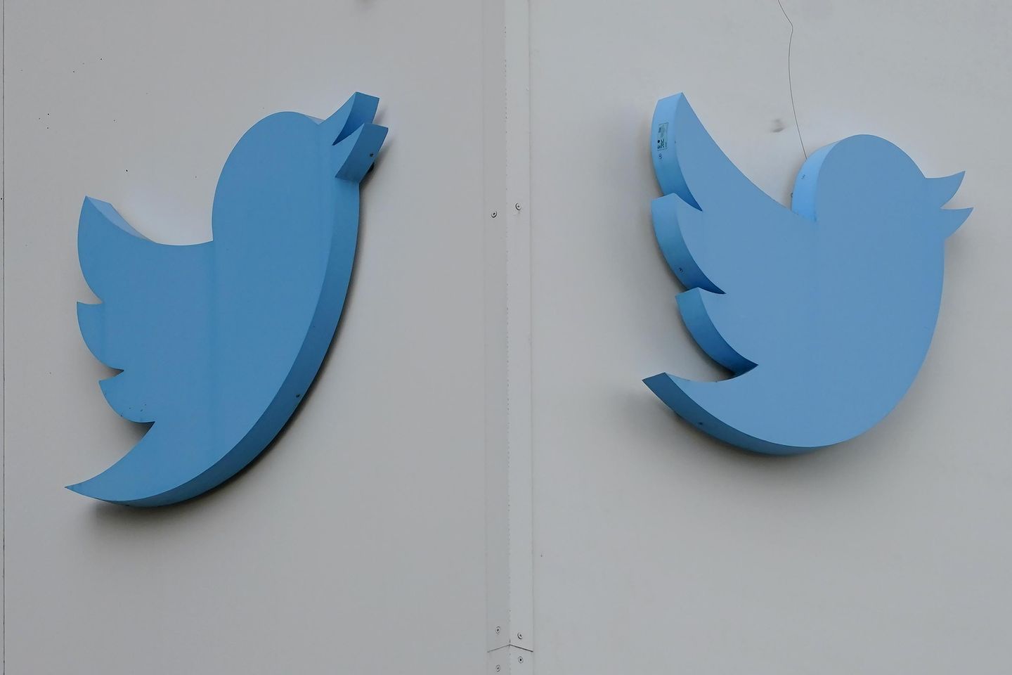 Twitter dapat melelang nama pengguna populer, kata laporan