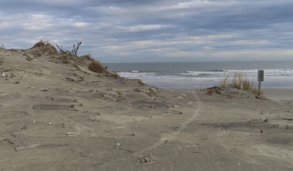 NextImg:New Jersey family finds message in a bottle purportedly sent from Ireland in 2019