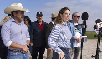 Republican National Committee Chair Ronna McDaniel speaks about President Joe Biden&#x27;s visit to El Paso during a news conference near the border wall, Sunday, Jan. 8, 2023, in Mission, Texas. (Joel Martinez/The Monitor via AP) **FILE**