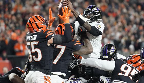 Baltimore Ravens quarterback Tyler Huntley, right, fumbles the ball as it is knocked away by Cincinnati Bengals linebacker Logan Wilson (55) in the second half of an NFL wild-card playoff football game in Cincinnati, Sunday, Jan. 15, 2023. The Bengals&#x27; Sam Hubbard recovered the fumble and ran it back for a touchdown. (AP Photo/Joshua A. Bickel)
