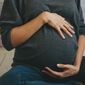 Pregnancy. File photo credit: Svetlana Iakusheva via Shutterstock