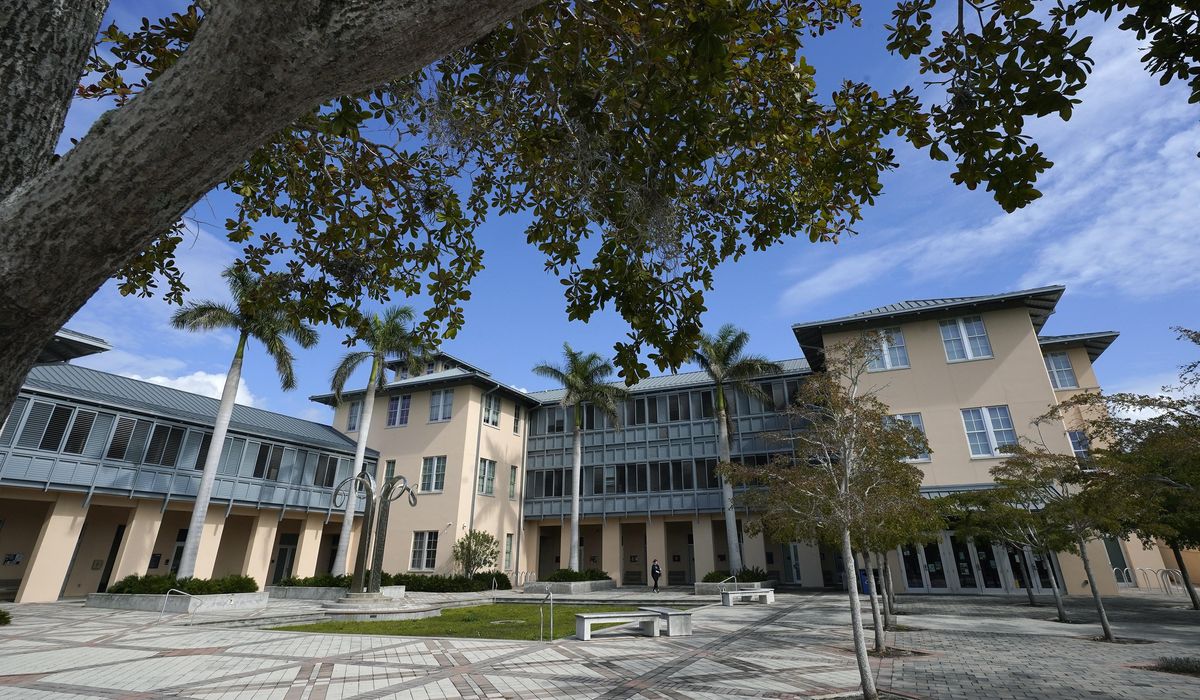 NextImg:Diversity, STEM lead spike in higher ed giving