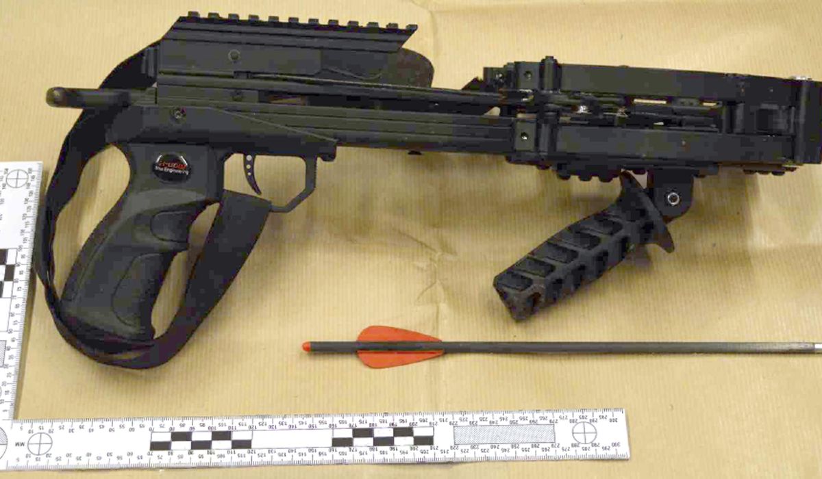 NextImg:U.K. man admits treason over crossbow plot against queen