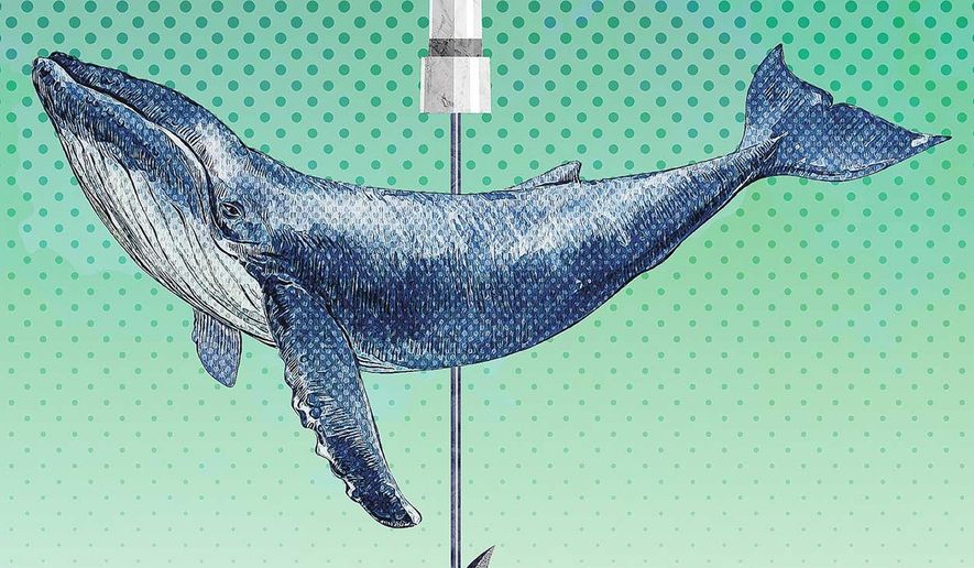 Greenpeace Killing Whales Illustration by Greg Groesch/The Washington Times