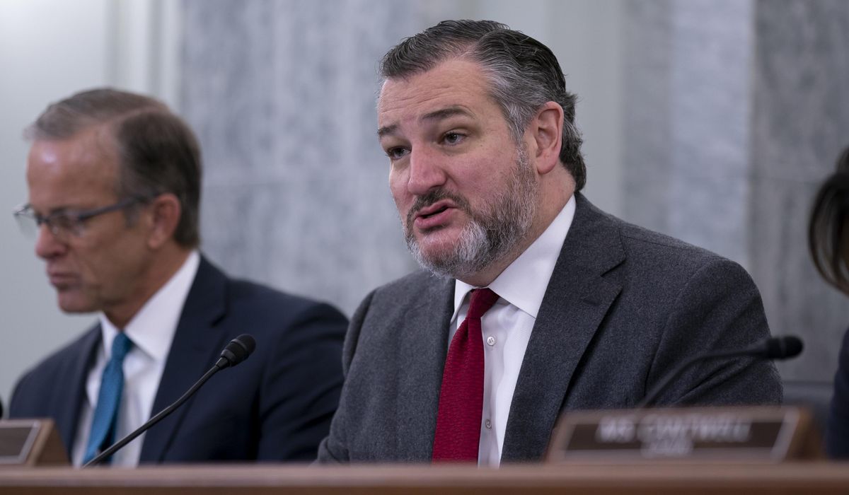 NextImg:Ted Cruz urges Senate to delay Biden’s FAA nominee