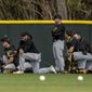 Pittsburgh Pirates players react as a guest gets medical attention during spring training baseball camp in Bradenton, Fla., Tuesday, Feb. 21, 2023. “He was attended to by Pirates medical personnel, is alert and responsive, and being transported to a local hospital for further evaluation,” the Pirates said in a statement. (Ben B. Braun/Pittsburgh Post-Gazette via AP)