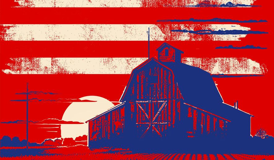 American Farmland at Risk from China Illustration by Linas Garsys/The Washington Times