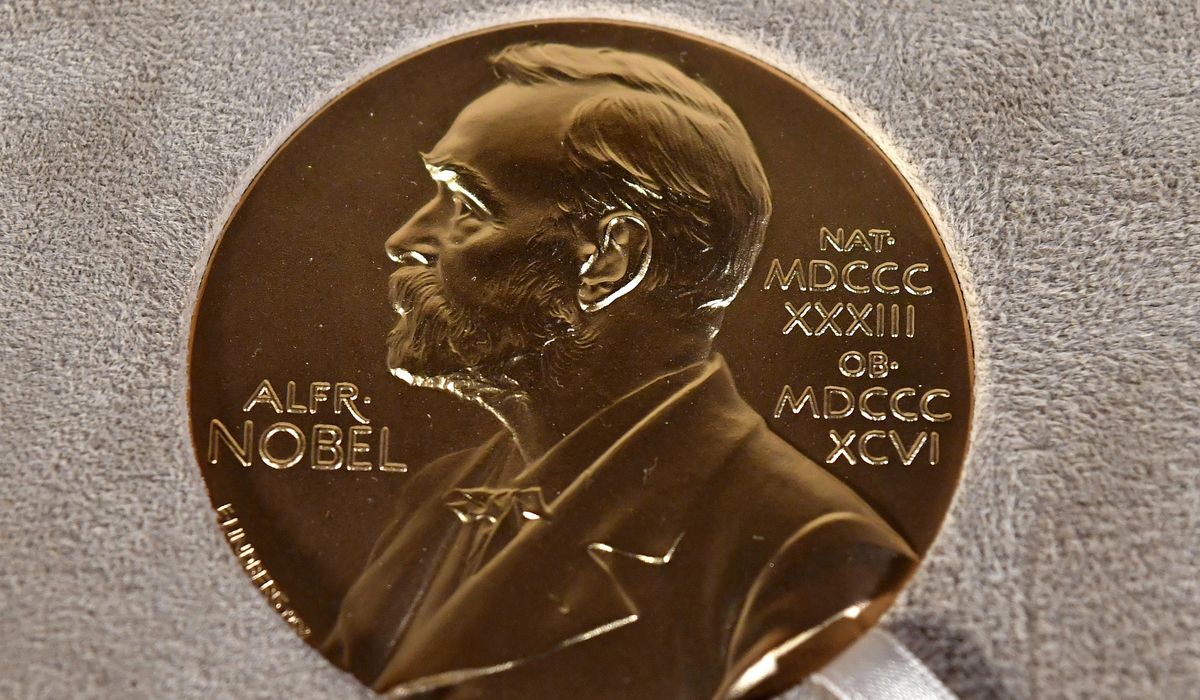 NextImg:Committee says 305 nominated for the 2023 Nobel Peace Prize