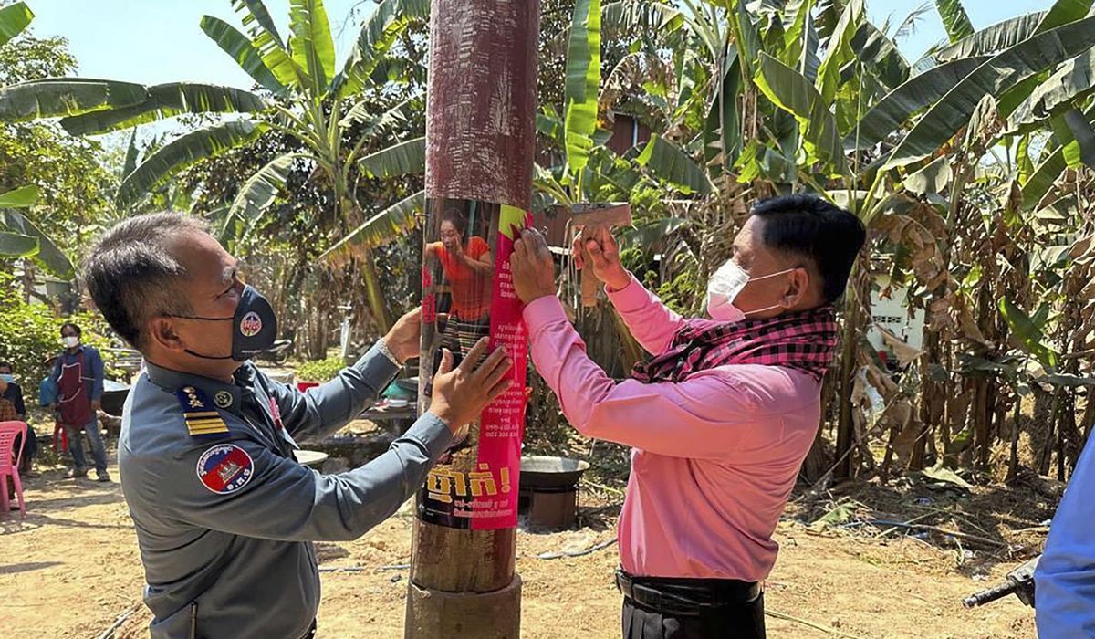 NextImg:Bird flu kills 11-year-old girl in Cambodia, officials say