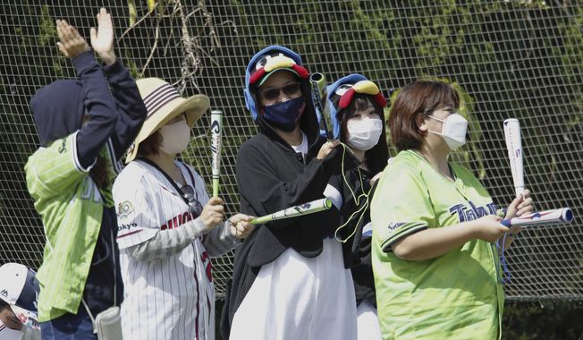 Fans for the Tokyo Yakult Swallows, a Japanese major league baseball team, cheer during the team&#x27;s pre-season game against the Yomiuri Giants in Urasoe, Okinawa prefecture, Japan, Thursday, Feb. 23, 2023. Fans of the upcoming World Baseball Classic are going to see two versions, depending if the games are in the United States, Taiwan, or Japan. (Takahiko Kanbara/Kyodo News via AP)