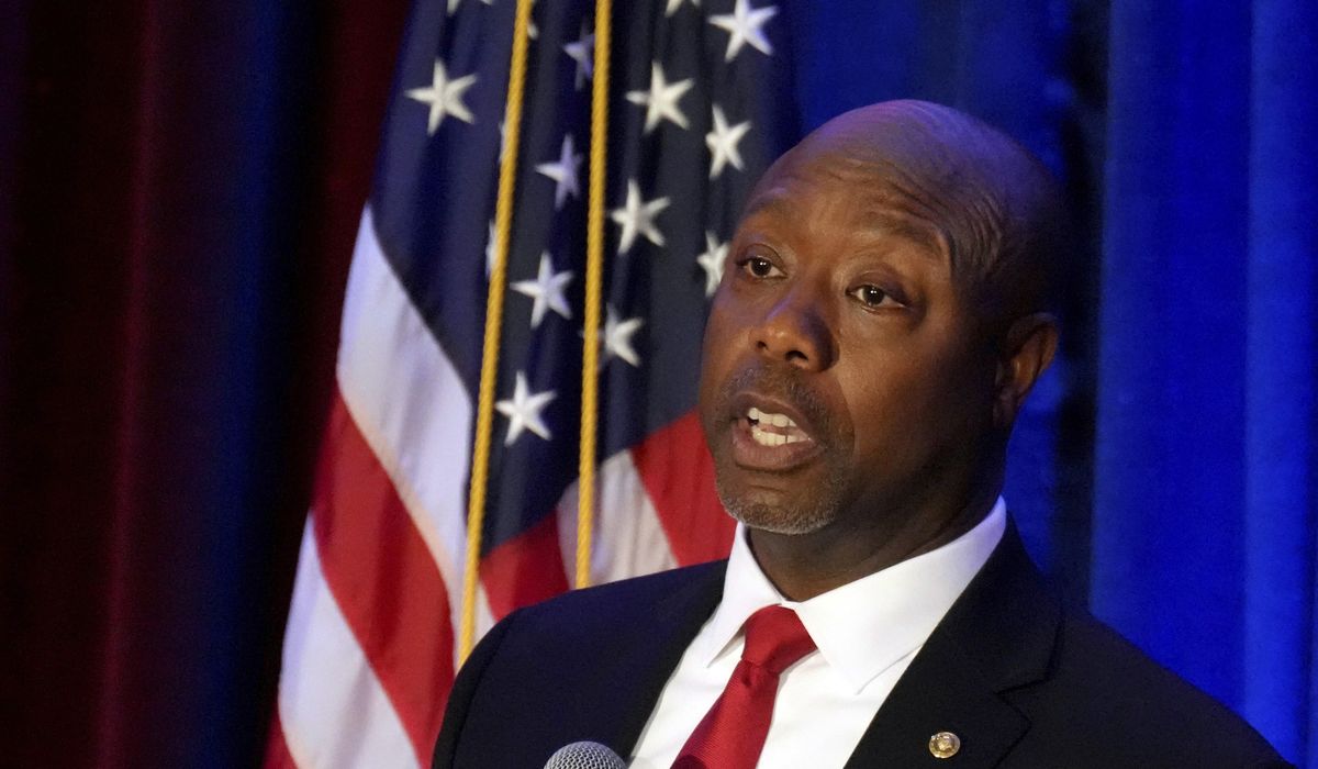 NextImg:Sen. Scott lays into Dems ahead of expected White House run: ‘A blueprint on how to ruin America’