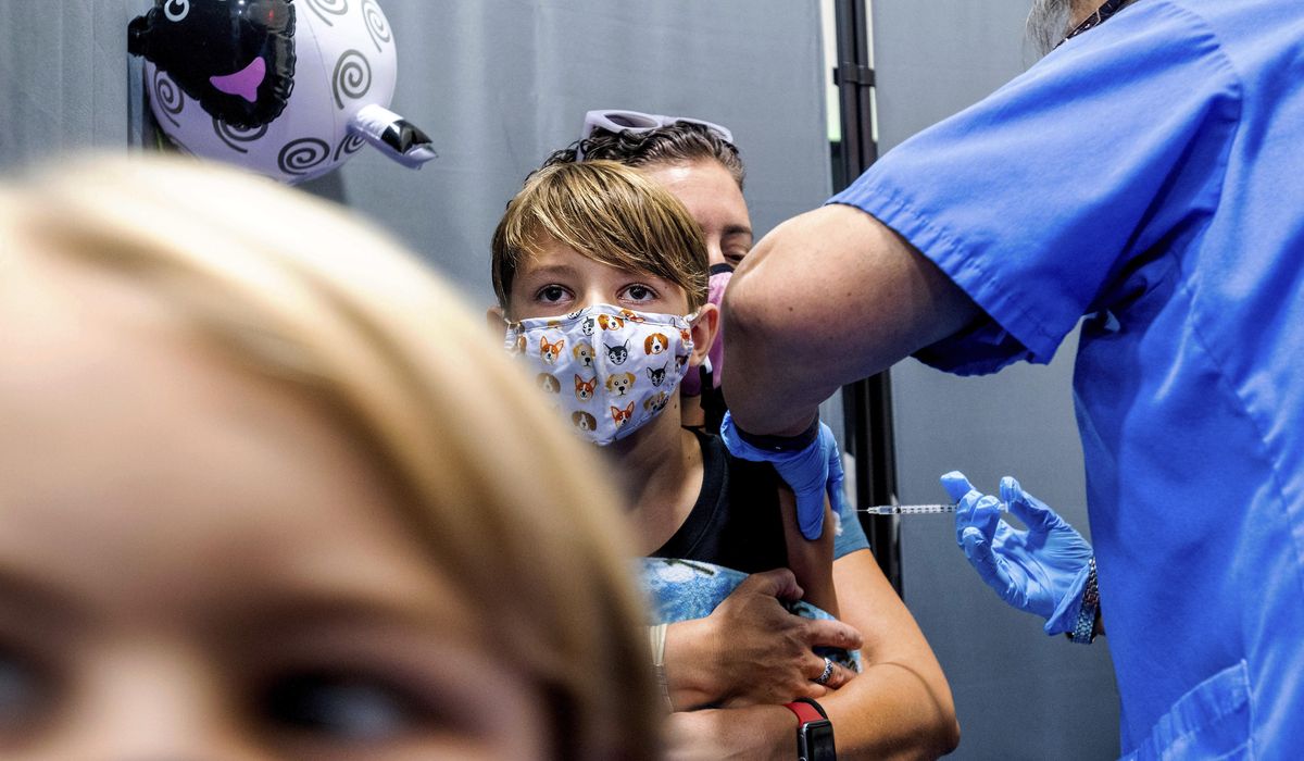 NextImg:Study finds declining trust in doctors and hospitals during COVID hurt vaccination rates
