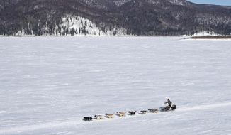 Brent Sass heads down the Yukon River between Ruby and Galena, Alaska, on March 13, 2020, during the Iditarod Trail Sled Dog Race. Only 33 mushers will participate in the ceremonial start of the Iditarod on Saturday, March 4, the smallest field ever. (Loren Holmes/Anchorage Daily News via AP, File) **FILE**