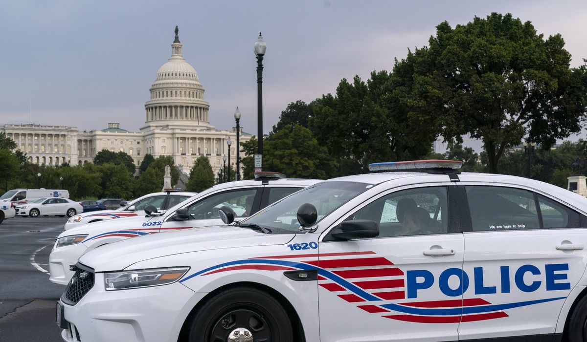 NextImg:D.C. police accuse four teen boys in spate of robbery incidents