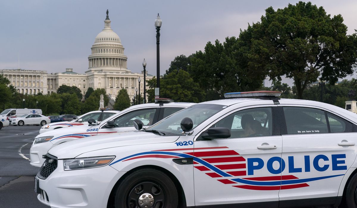 NextImg:12-year-old boy arrested, accused of armed carjacking in Southeast D.C.